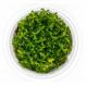  Ludwigia Dark Orange - Tissue culture Aquatic Plant